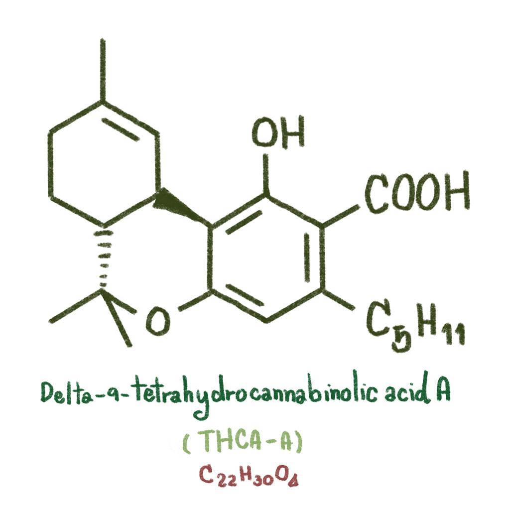 WTF is THCA?