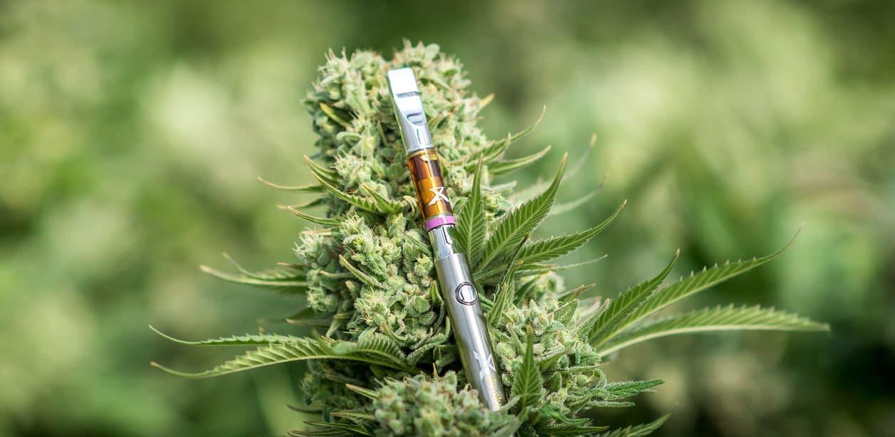 What's My Strain Again?